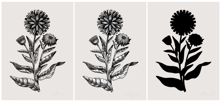 Collage style herbs vector illustration. Herbal plants and flowers sketches. Trendy floral design with botanical hand drawings. For print, poster, wall art, cards in vintage style. Calendula design